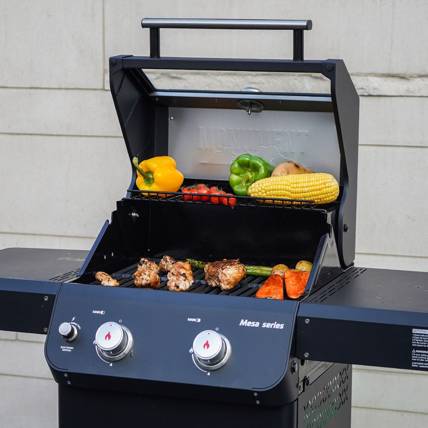 Mesa 220 | Monument Grills | 2 Burner Stainless Steel Powder Coated Propane Gas Grill